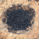 Earth Pit Biochar Making