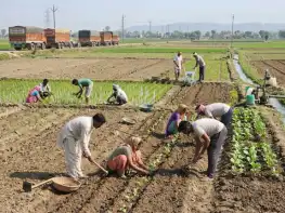 farmers reached